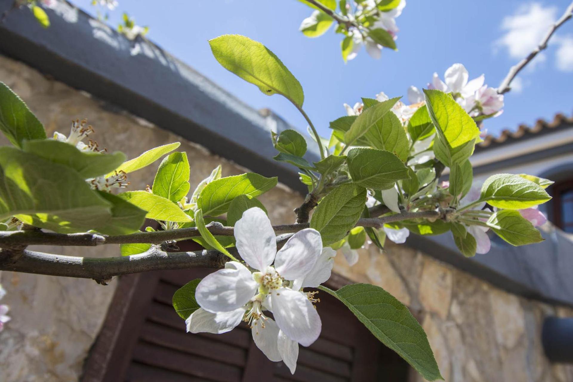 Villa Arrochela Vilamoura Eksteriør bilde